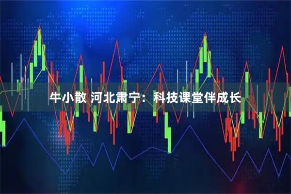 牛小散 河北肃宁：科技课堂伴成长