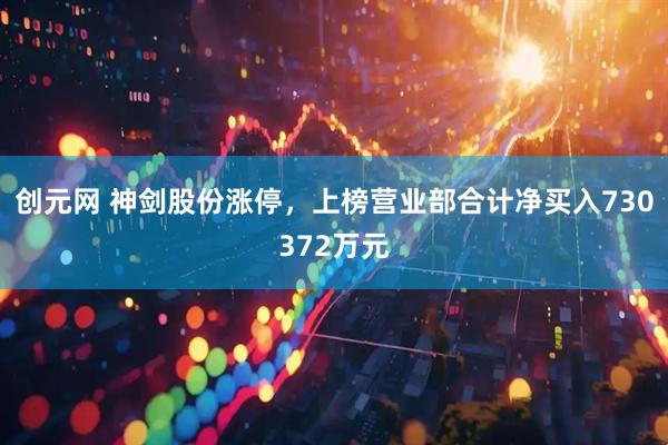 创元网 神剑股份涨停，上榜营业部合计净买入730372万元